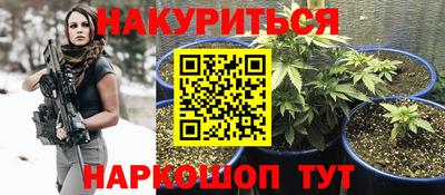 индика Рузаевка