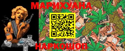 индика Рузаевка