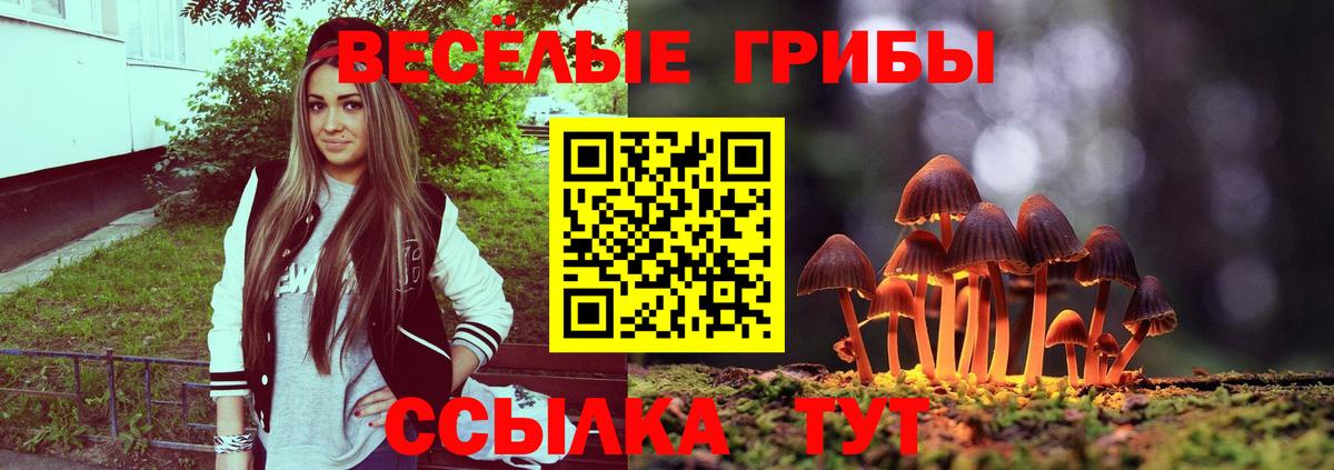 Псилоцибиновые грибы MAGIC MUSHROOMS  Галлюциногенные грибы MAGIC MUSHROOMS  Вход с VPN  Сафоново 