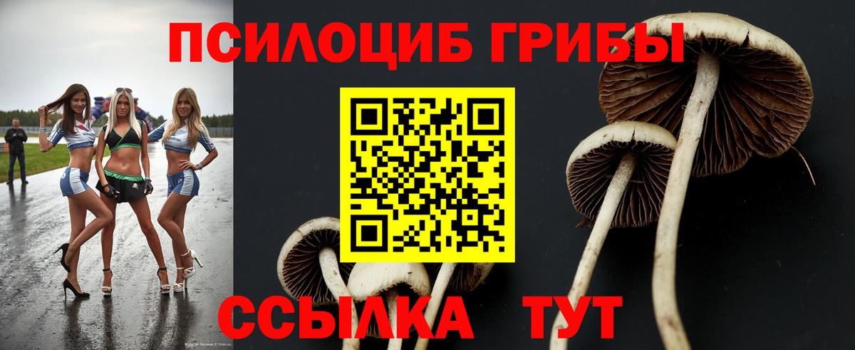 Галлюциногенные грибы ЛСД Сафоново